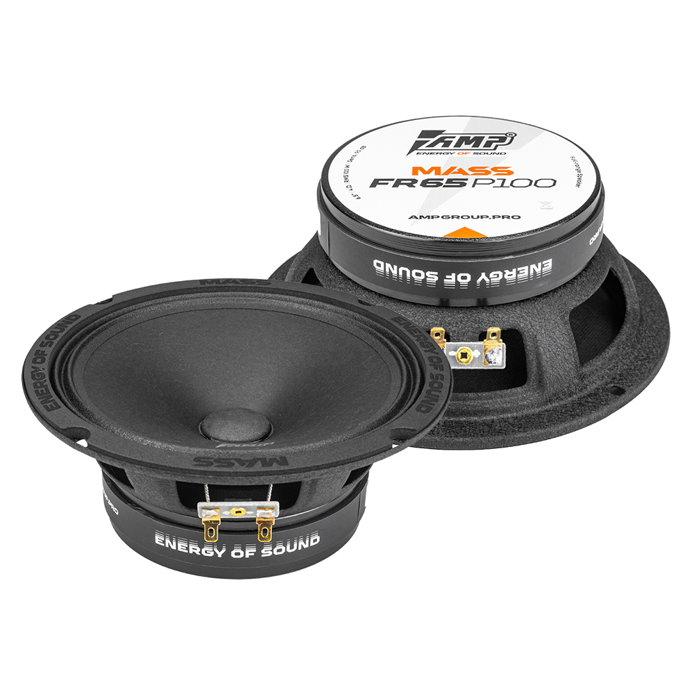 Акустика эстрадная AMP MASS FR65P100 (4ом) широкополосная купить в интернет магазине AMPGROUP.  Акустика эстрадная AMP MASS FR65P100 (4ом) широкополосная   цены, большой каталог, новинки.
