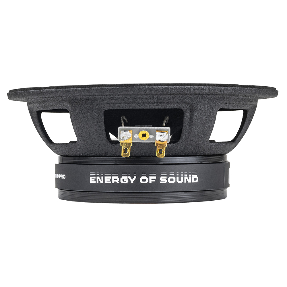 Акустика эстрадная AMP MASS FR65P100 (4ом) широкополосная купить в интернет магазине AMPGROUP.  Акустика эстрадная AMP MASS FR65P100 (4ом) широкополосная   цены, большой каталог, новинки.
