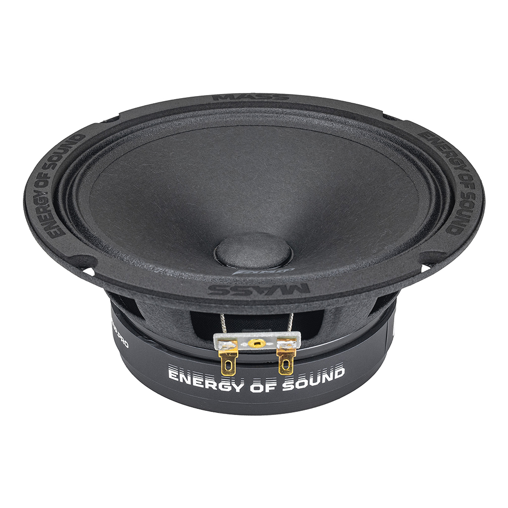 Акустика эстрадная AMP MASS FR65P100 (4ом) широкополосная купить в интернет магазине AMPGROUP.  Акустика эстрадная AMP MASS FR65P100 (4ом) широкополосная   цены, большой каталог, новинки.
