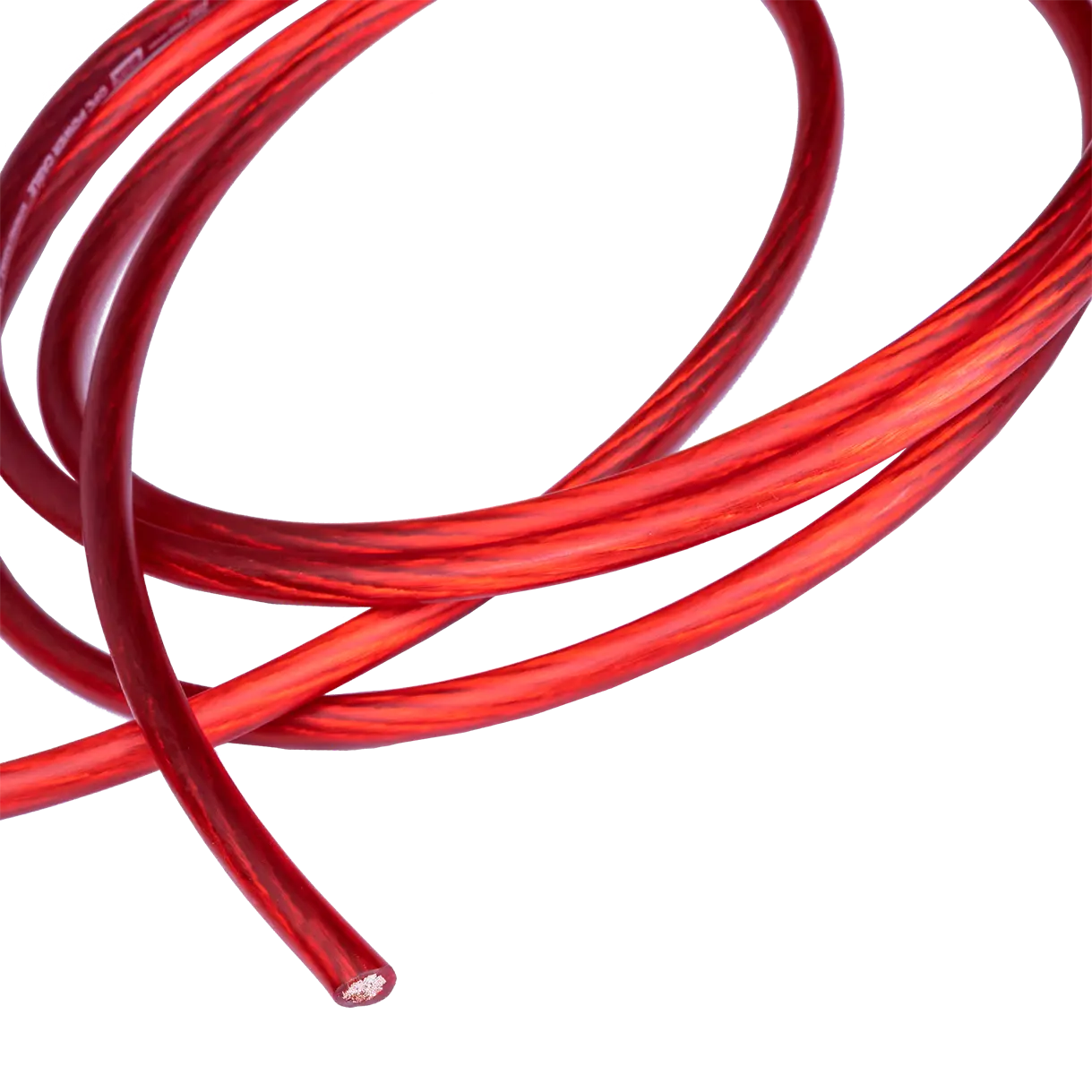 Провод силовой AMP PRO 8Ga OFC Extremely flexible Красный медь 100% купить в интернет магазине AMPGROUP.  Провод силовой AMP PRO 8Ga OFC Extremely flexible Красный медь 100%   цены, большой каталог, новинки.
