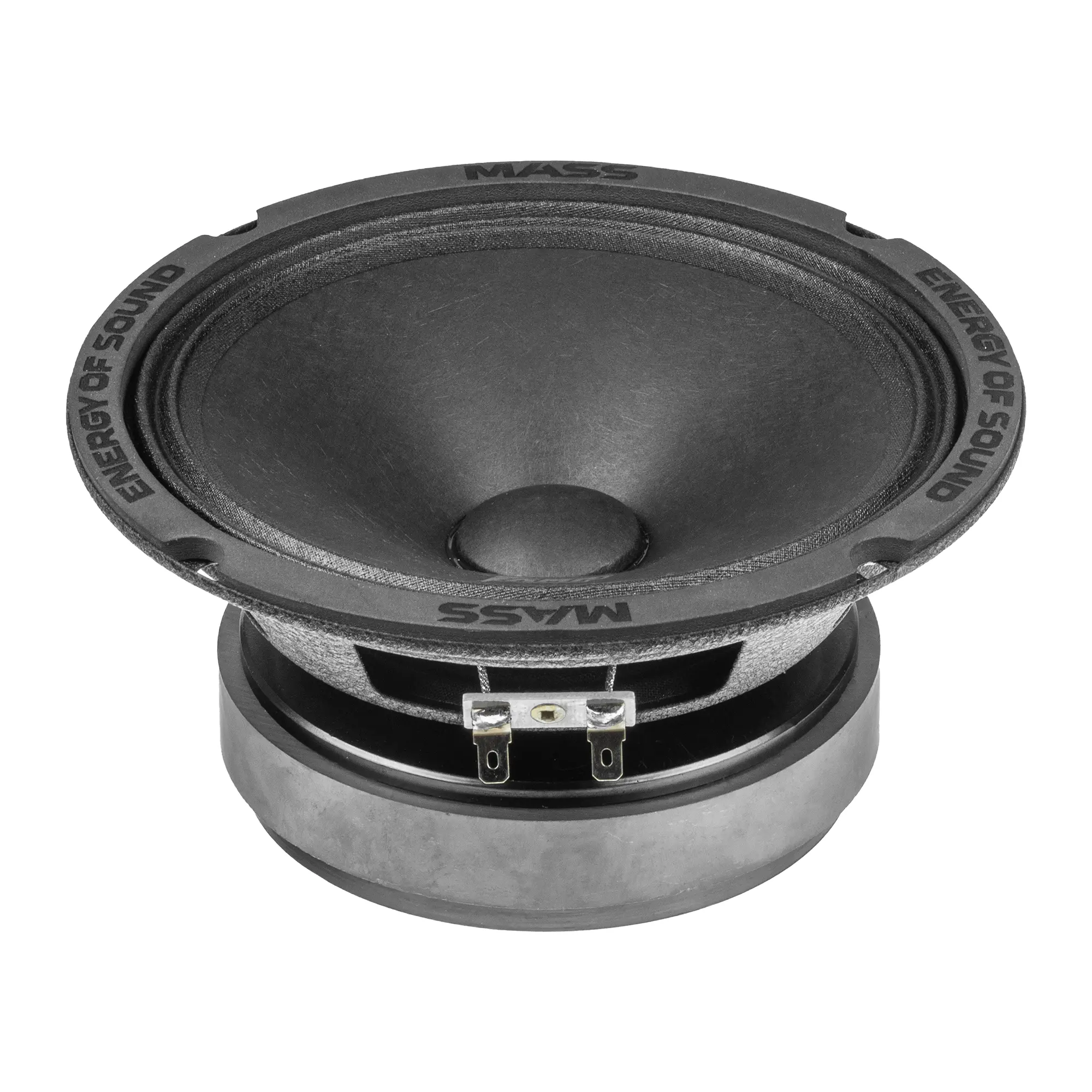Акустика эстрадная AMP MASS FR65P120 (4ом) широкополосная купить в интернет магазине AMPGROUP.  Акустика эстрадная AMP MASS FR65P120 (4ом) широкополосная   цены, большой каталог, новинки.
