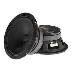 Акустика эстрадная AMP MASS FR65P100 (4ом) широкополосная купить в интернет магазине AMPGROUP.  Акустика эстрадная AMP MASS FR65P100 (4ом) широкополосная   цены, большой каталог, новинки.
